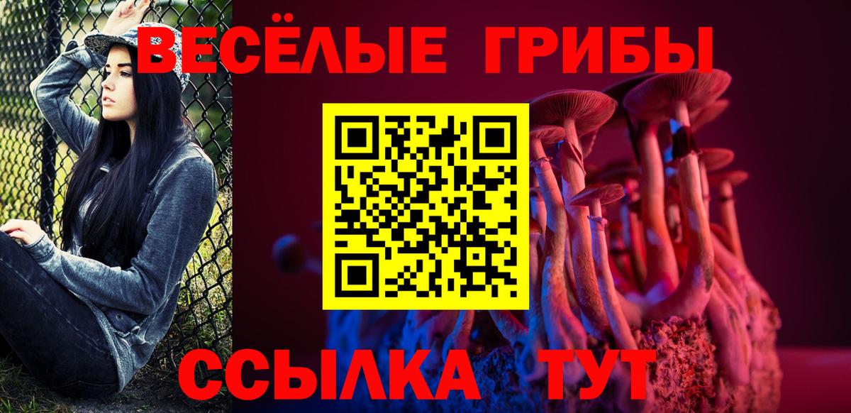 Галлюциногенные грибы Psilocybine cubensis  купить   Корсаков  Вход с VPN 