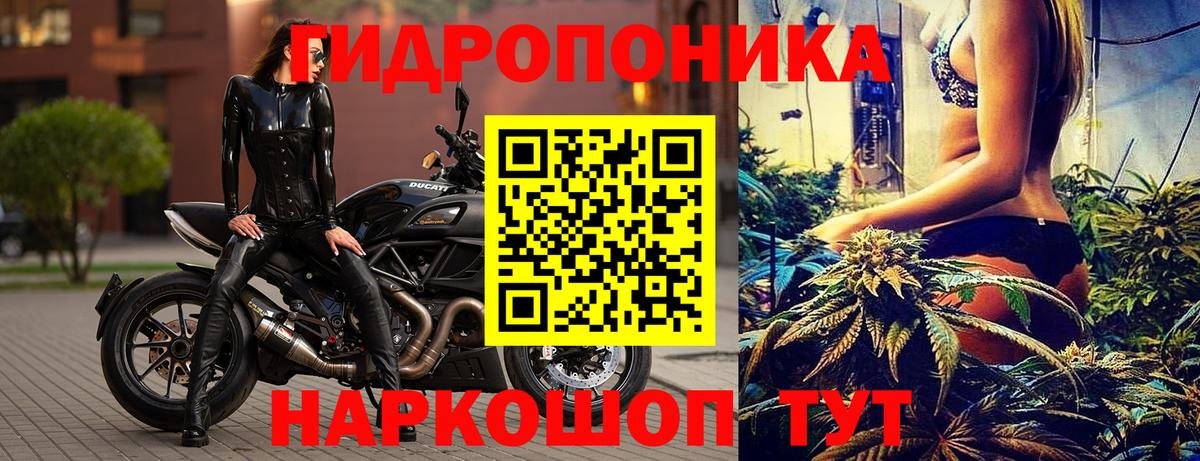 МАРИХУАНА конопля Корсаков